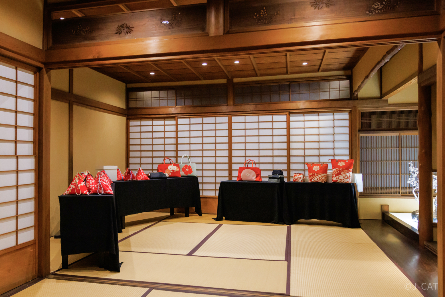 Maiko Tea and Entertainment with Behind-the-Scenes Insights